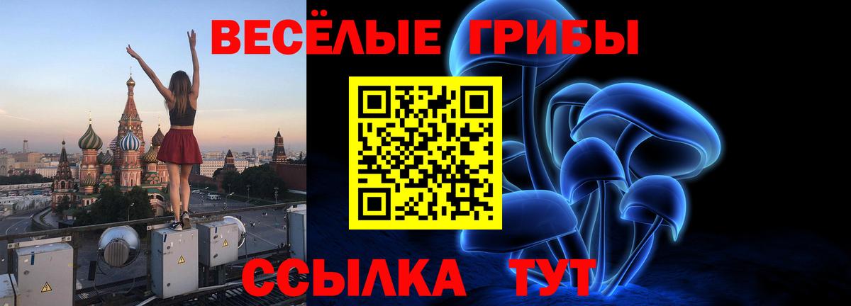 Шали  Псилоцибиновые грибы мицелий  Вход с VPN  Псилоцибиновые грибы Magic Shrooms 